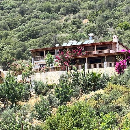 Istlada Tas Ev Apart - Kekova View Kapaklı Buitenkant foto