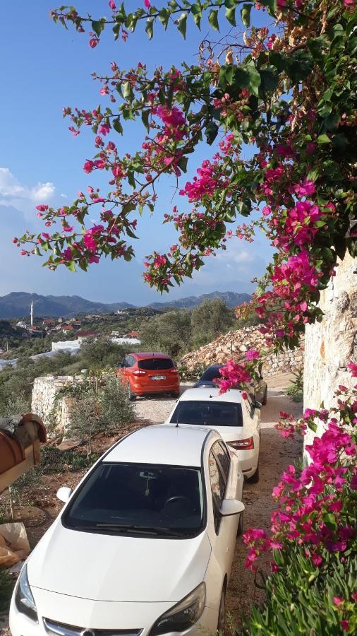 Istlada Tas Ev Apart - Kekova View Kapaklı Buitenkant foto